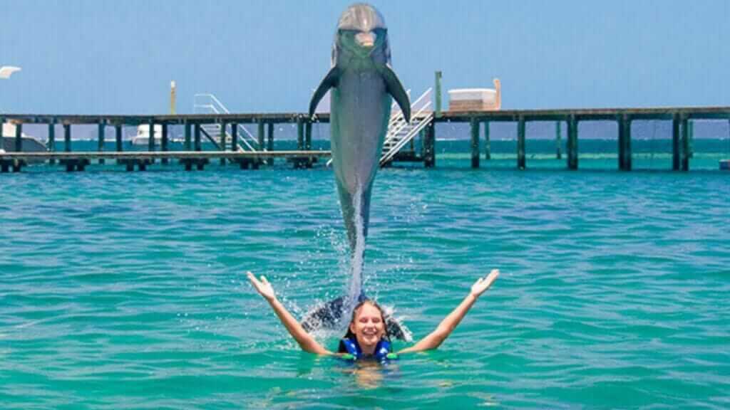 Premium Airport Transfers and Tours Punta Cana | Melao Travel 2025