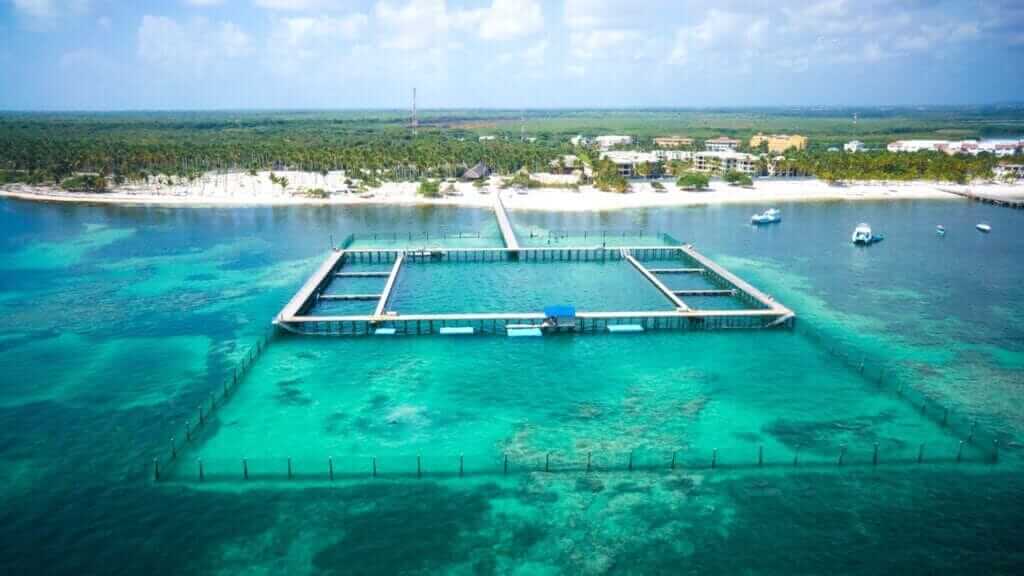 Punta Cana Airport Transfers Tours and Adventures | Melao Travel 2025