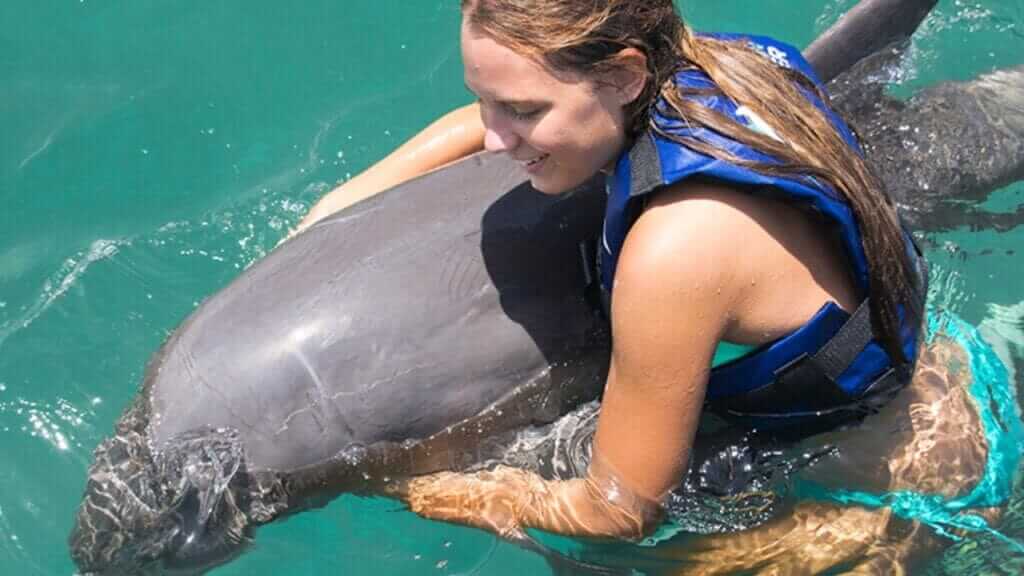 Premium Airport Transfers and Tours Punta Cana | Melao Travel 2025