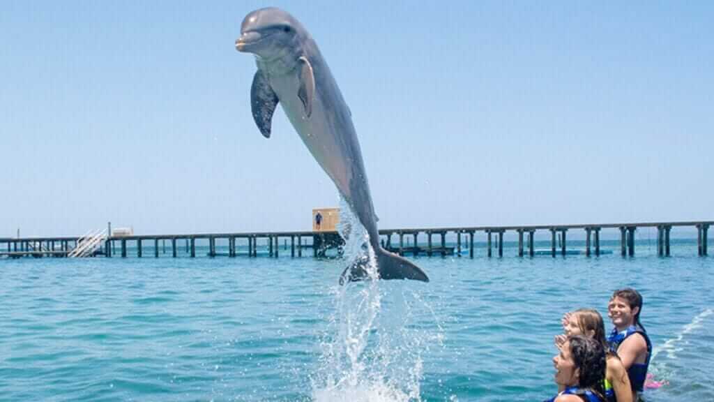 Punta Cana Airport Transfers Tours and Adventures | Melao Travel 2025