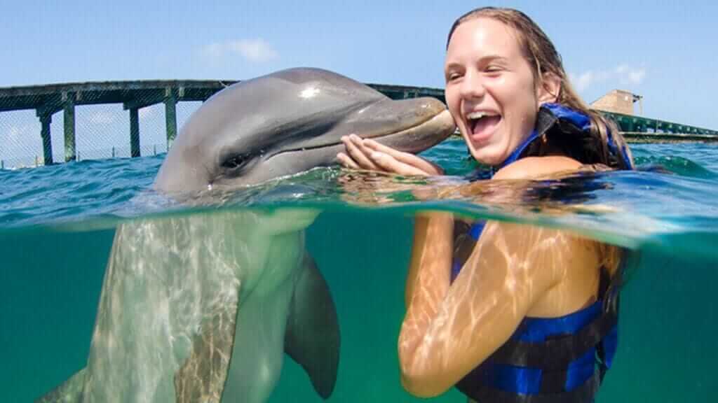 Premium Airport Transfers and Tours Punta Cana | Melao Travel 2025