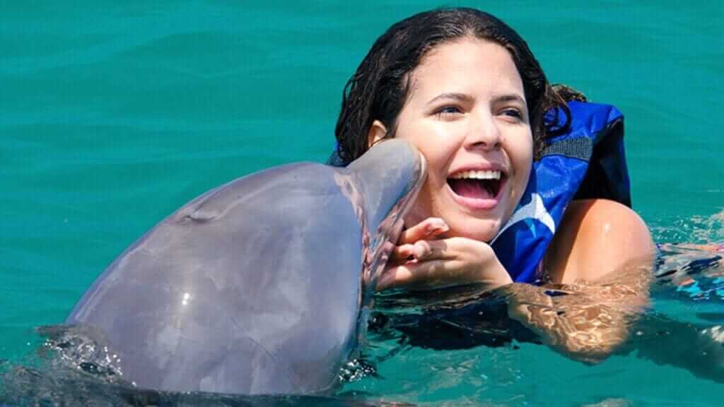 Premium Airport Transfers and Tours Punta Cana | Melao Travel 2025