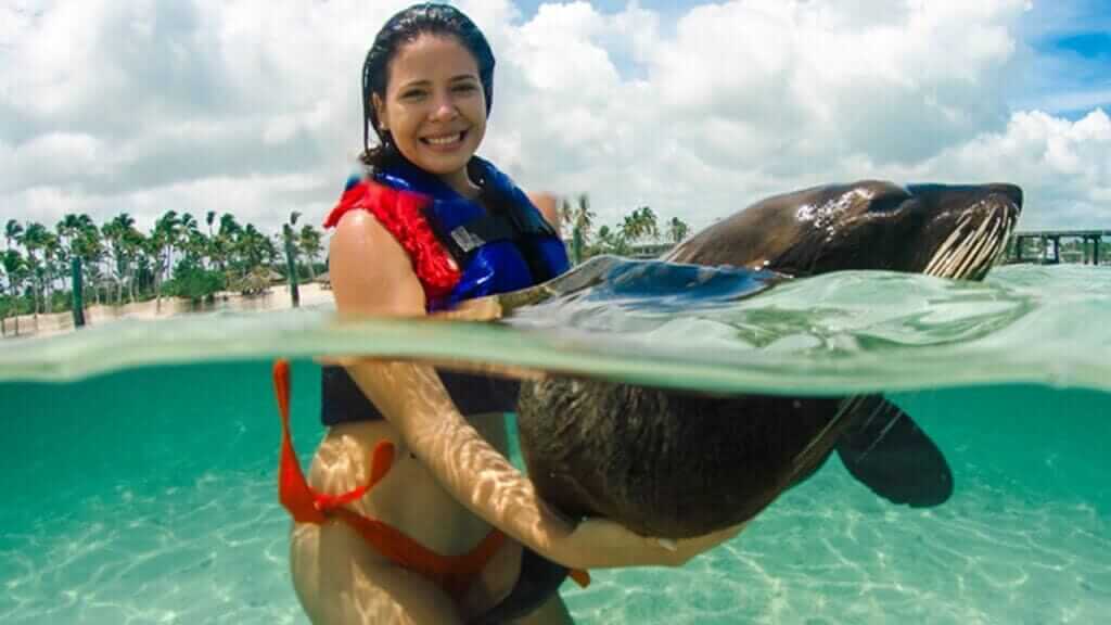 Premium Airport Transfers and Tours Punta Cana | Melao Travel 2025