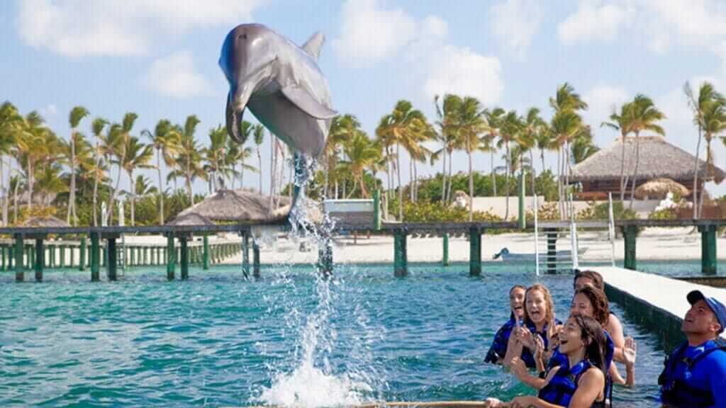 Premium Airport Transfers and Tours Punta Cana | Melao Travel 2025