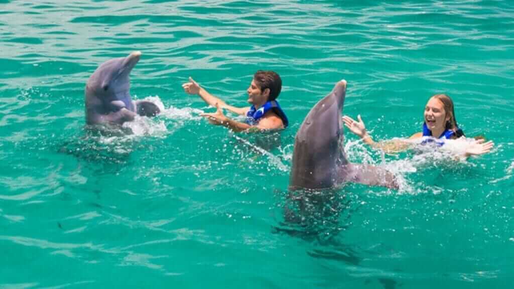 Punta Cana Airport Transfers Tours and Adventures | Melao Travel 2025