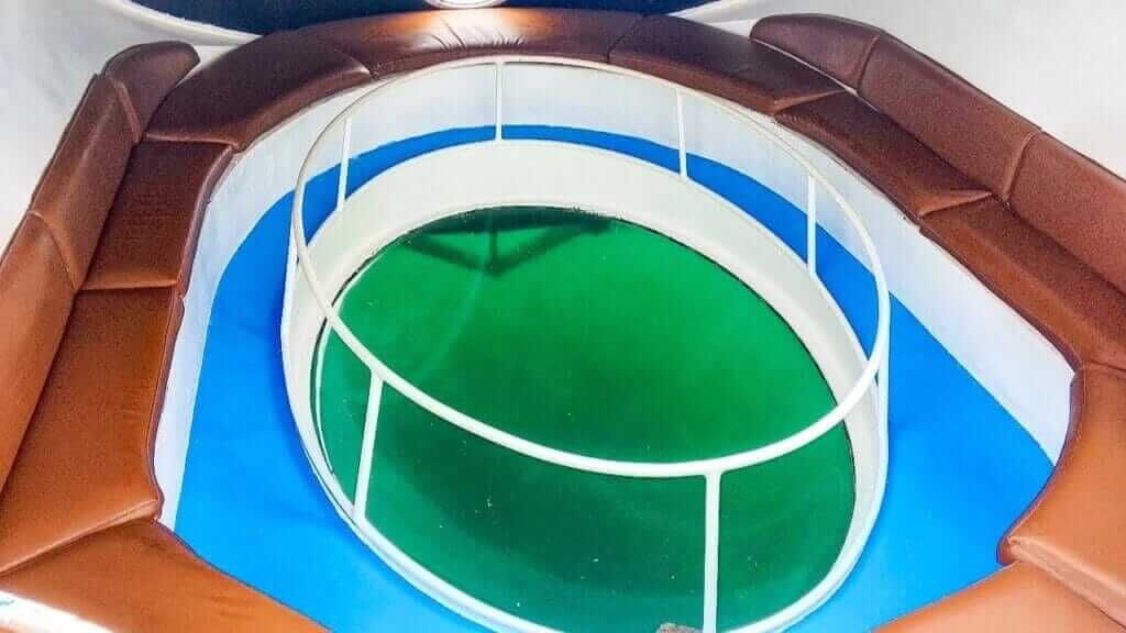 Punta Cana Airport Transfers Tours and Adventures | Melao Travel 2025