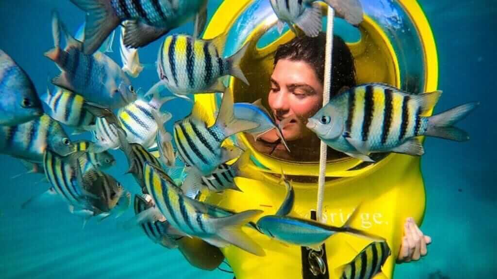 Punta Cana Airport Transfers Tours and Adventures | Melao Travel 2025