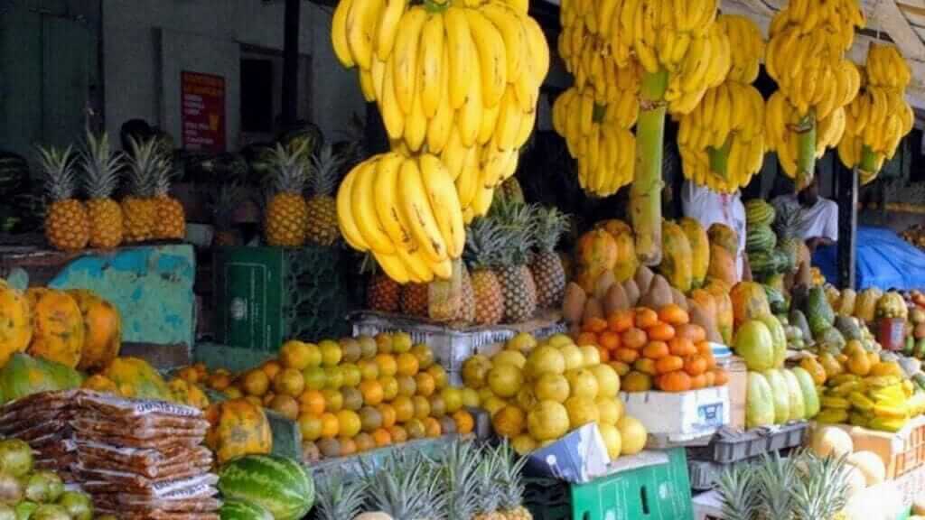 Countryside Safari | Punta Cana Airport Transfers Tours and Adventures | Melao Travel 2025