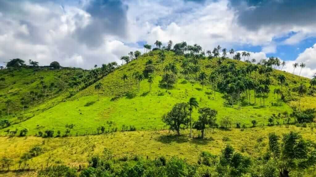 Countryside Safari | Punta Cana Airport Transfers Tours and Adventures | Melao Travel 2025