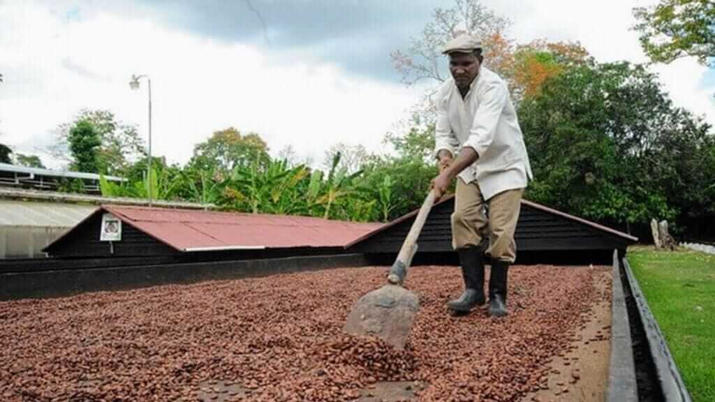 Countryside Safari | Punta Cana Airport Transfers Tours and Adventures | Melao Travel 2025