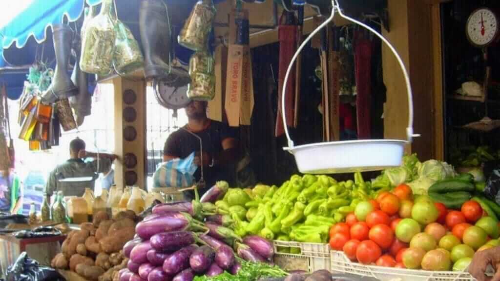 Countryside Safari | Punta Cana Airport Transfers Tours and Adventures | Melao Travel 2025